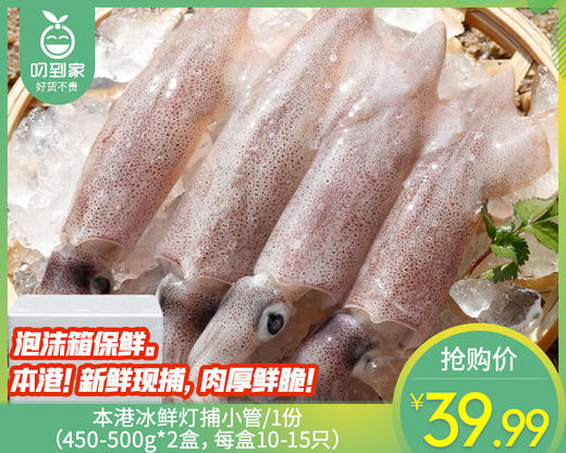 本港冰鲜灯捕小管/1份（450-500g*2盒，每盒10-15只） 商品图0