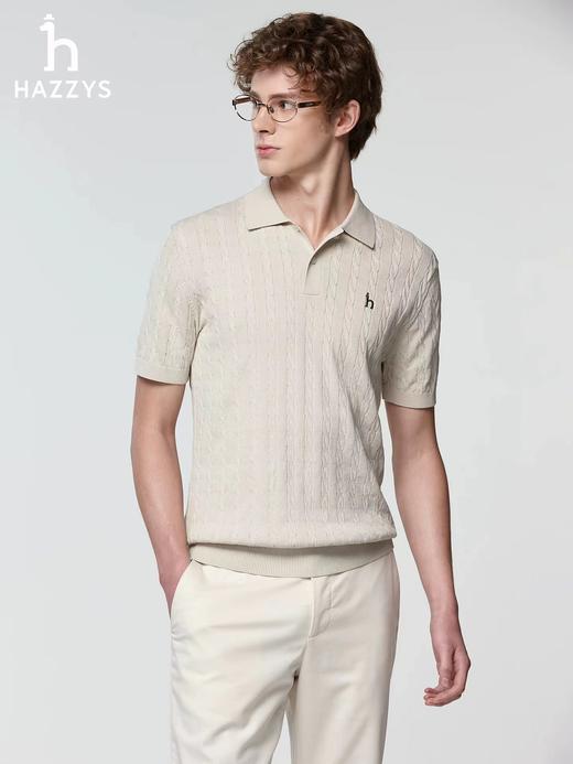 F032911男士绞花短袖POLO翻领针织衫夏季通勤老钱风休闲上衣 商品图6
