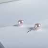 ⁶【akoya珍珠】铂金耳钉，8-8.5MM，编号ED116，出证书，48小时鉴赏期——SS06-CR-YMZZ【HOT】 商品缩略图3