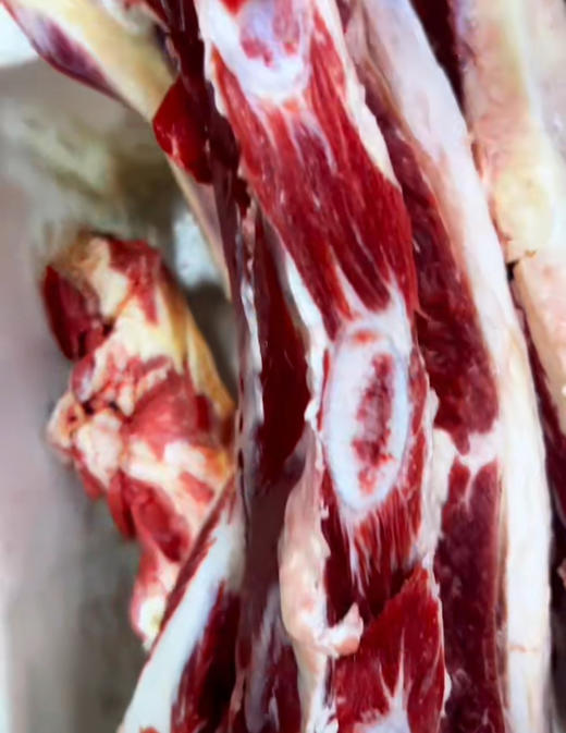 清真加肉脆骨牛排骨，冻着送货，5斤/份 商品图0