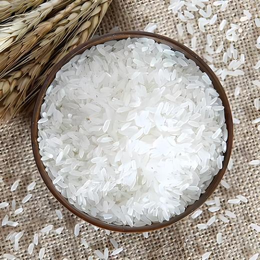 北方有机大米10斤（穗月之歌）  大米/胚芽米/糙米 商品图2