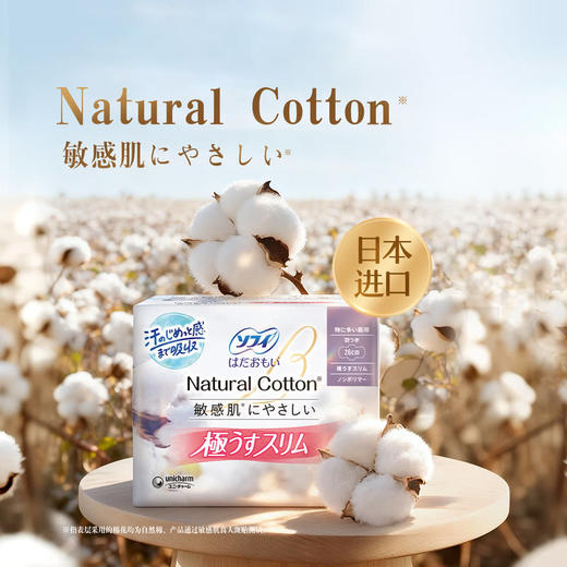 MM 山姆 苏菲 温柔肌薄型日用卫生巾 13片*4包 商品图1