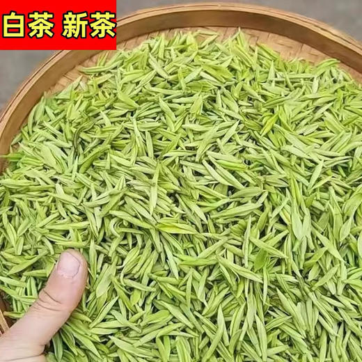 2000安吉白茶2026年新茶 商品图1