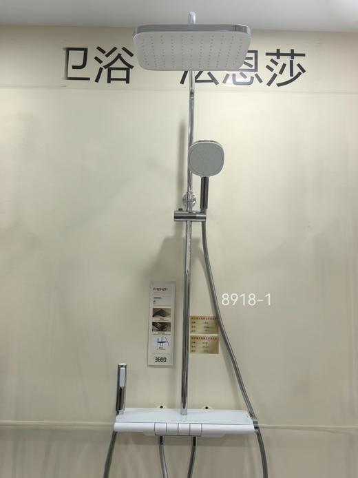法恩莎卫浴 大花洒F4M8918CP-1 商品图1