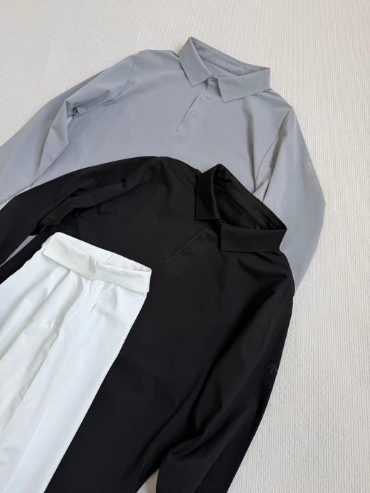 F032928春季新品DUALIS系列都市通勤男士压胶长袖POLO衫 商品图2