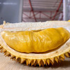 [最农公社]泰国榴莲甲仑榴莲味道浓郁果型口感好 商品缩略图3