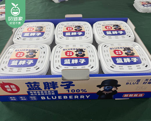 云南高山蓝胖子桶装蓝莓（15+，F6品种）/1箱（约400g*6桶） 商品图4