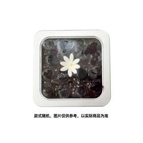 【网红甜品】蓝莓蛋糕.（个）