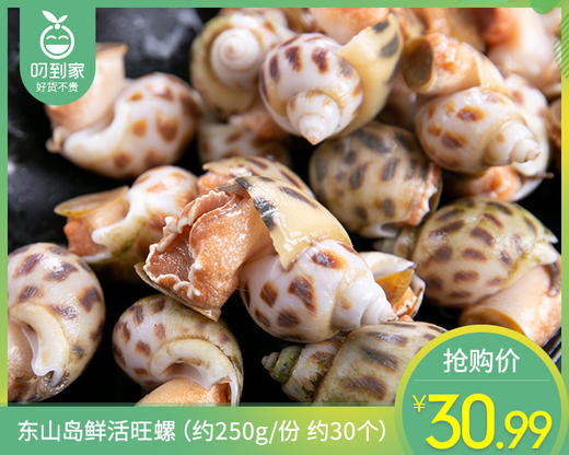 东山岛鲜活旺螺（约250g/份 约30个） 商品图0