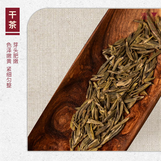 【山纯限品】（2026年黄茶）蒙顶黄芽35g 商品图2