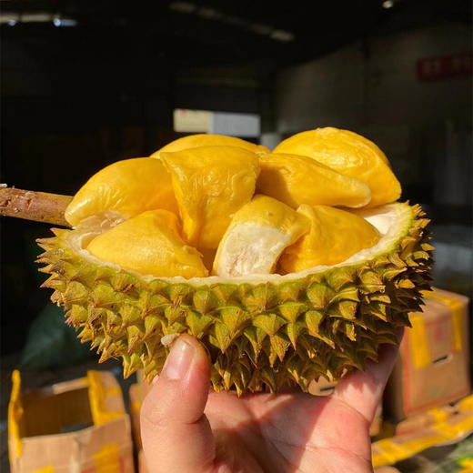 [最农公社]泰国榴莲甲仑榴莲味道浓郁果型口感好 商品图4