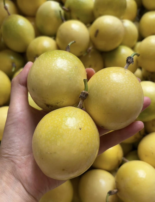 黄金百香果百香果 商品图5