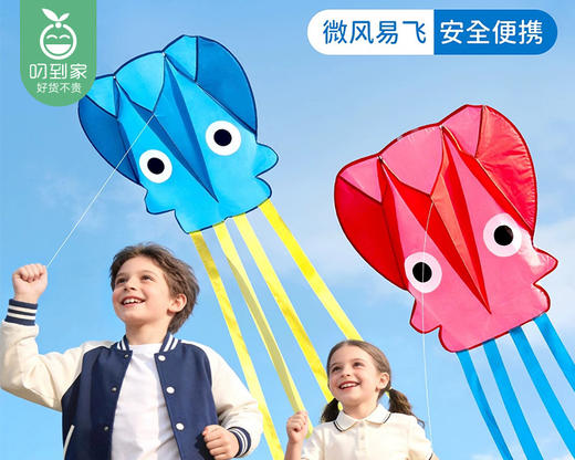 【快递到家】小章鱼无骨口袋风筝-颜色随机（宽55cm*高52cm*尾255cm/个） 商品图2