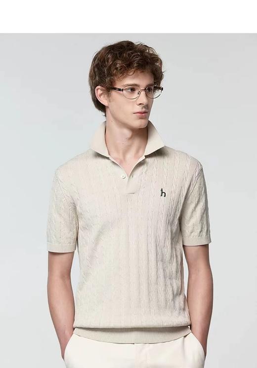 F032911男士绞花短袖POLO翻领针织衫夏季通勤老钱风休闲上衣 商品图4