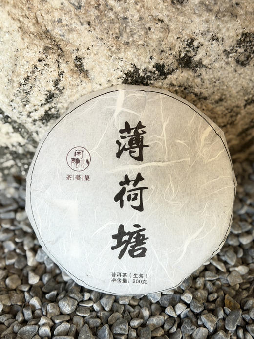 （预售）2026年周家薄荷糖二类一饼/200克（生茶） 商品图0