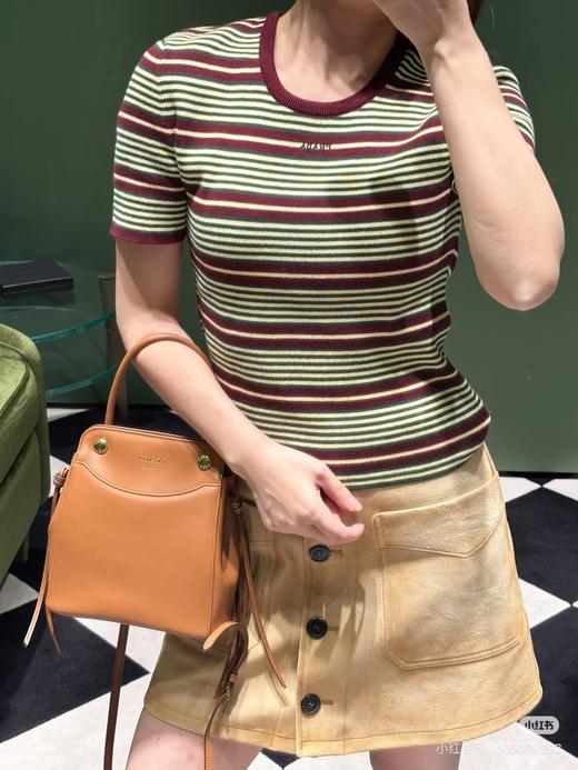 女款宽松条纹短袖针织衫lv020 商品图2