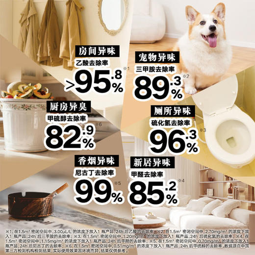 MM 山姆 小林制药 Sawaday消臭元 350ml*5 商品图4