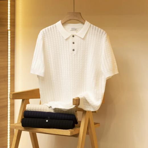 【lyyk-F87107】男子复古翻领针织镂空冰丝短袖POLO衫！！ 商品图2