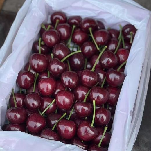 王牌！大连樱桃【净重约1.8斤】不要拿现在市场上的货来比，这款超甜超好吃！ 商品图4