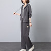 丁摩 休闲运动服套装女春秋季新款时尚卫衣两件套6ZF-653 商品缩略图3