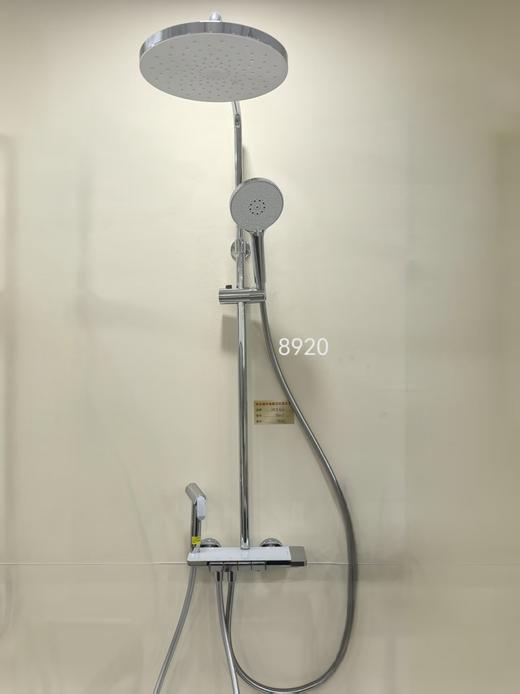 法恩莎卫浴 大花洒F4M8920CP 钢琴键 商品图0