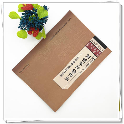 刘铁军经验传承:脏毒腑秽学说临证实践 刘铁军 刘扬扬 王汉 大医传承文库:名老中医经验传承系列 9787513299084中国中医药出版社 商品图2
