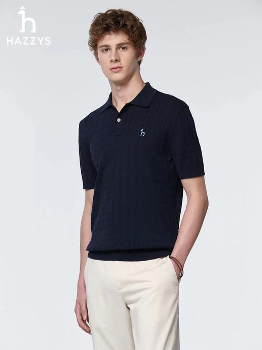 F032911男士绞花短袖POLO翻领针织衫夏季通勤老钱风休闲上衣 商品图8