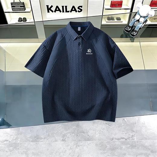 F032942吸湿速干防晒户外运动春夏季徒步通勤男短袖POLO衫 商品图1