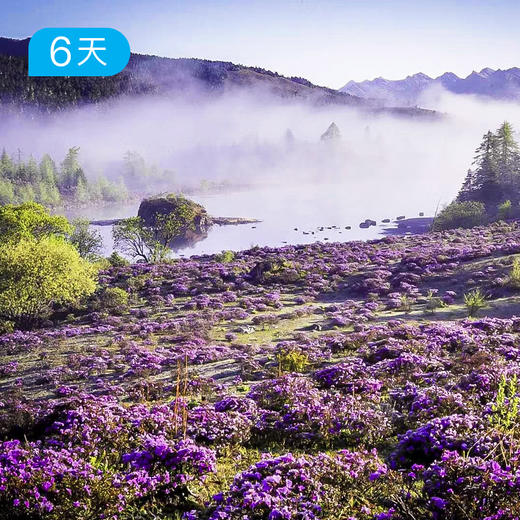 尼汝秘境｜五大牧场52公里穿越 云南香格里拉治愈之旅 6日 商品图4