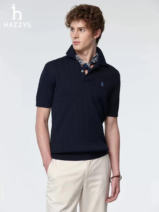 F032911男士绞花短袖POLO翻领针织衫夏季通勤老钱风休闲上衣 商品图7