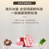 海尔（Haier）冰箱 BCD-515WGHFD1BY5U1 商品缩略图7