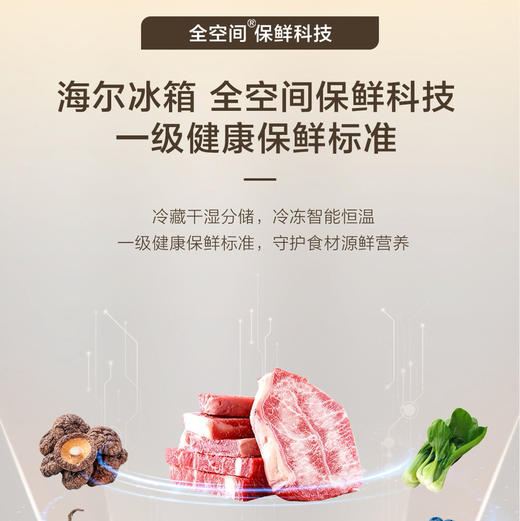 海尔（Haier）冰箱 BCD-515WGHFD1BY5U1 商品图7