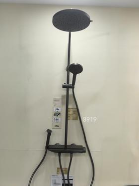 法恩莎卫浴 大花洒F4M8919GGW 灰 钢琴键