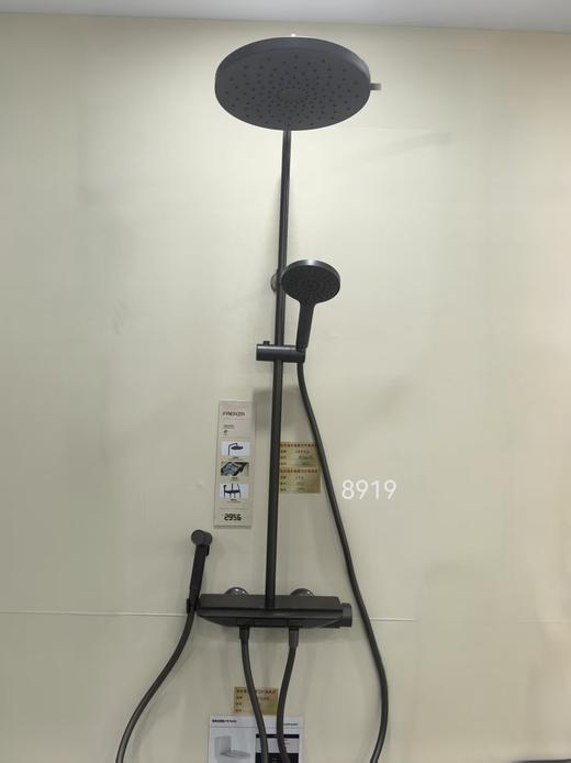 法恩莎卫浴 大花洒F4M8919GGW 灰 钢琴键 商品图0