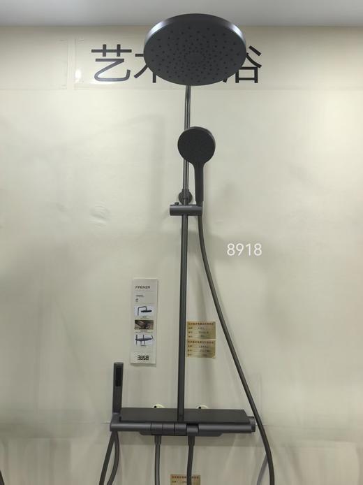 法恩莎卫浴 大花洒F4M8918 商品图1