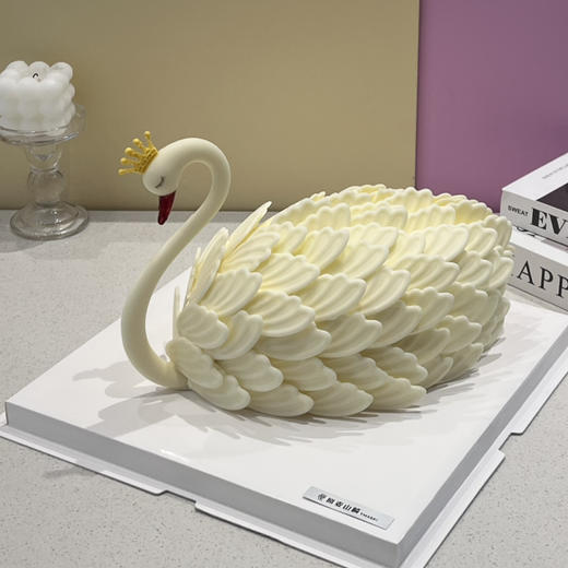 白天鹅 商品图0