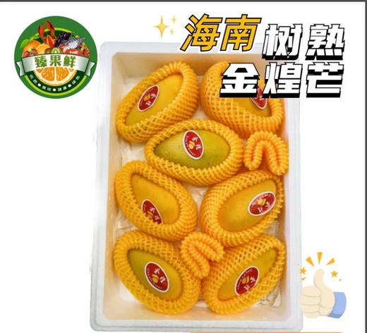 海南金煌芒 商品图0