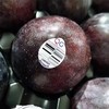 【会员29.5/斤】澳大利亚进口胭脂女王李 商品缩略图0