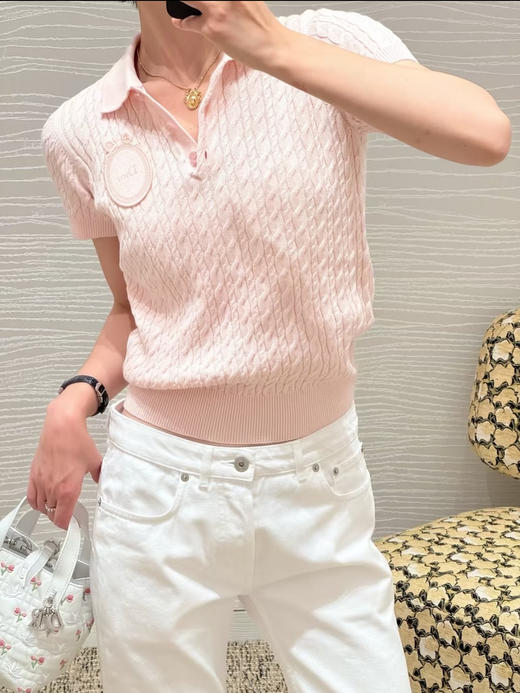 迪奥 26Ss新款浅粉短袖针织POLO衫 商品图3