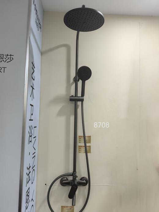 法恩莎卫浴 大花洒F2M8708GGW 灰 商品图1
