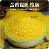 赤峰优质厂家直发-保证质量-赤峰金苗K1(小米中的皇帝)5斤胚芽保留率高-香糯可口-颗粒饱满月子米 商品缩略图2