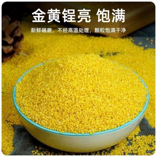 赤峰优质厂家直发-保证质量-赤峰金苗K1(小米中的皇帝)5斤胚芽保留率高-香糯可口-颗粒饱满月子米 商品图2