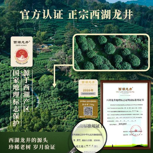 【新茶上市】湖畔居春茶西湖龙井头采明前正宗定制老茶树250g高档礼盒 商品图1