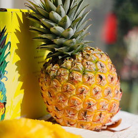 海南火焰山芒果凤梨顺丰快递包邮下单从三亚发货