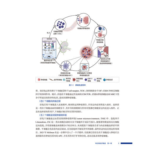 肿瘤布拉格治疗 张力元 肿瘤放射治疗核心能力建设系列教材 读者对象涵盖放疗医师以及肿瘤治疗相关专业医务等人员 人民卫生出版社 商品图4