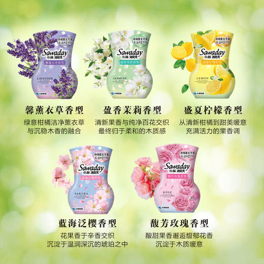 MM 山姆 小林制药 Sawaday消臭元 350ml*5 商品图2
