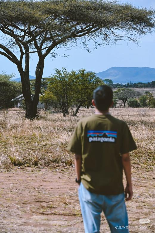 8塔 P-6 经典山脉印花短袖T恤 TX620 商品图3