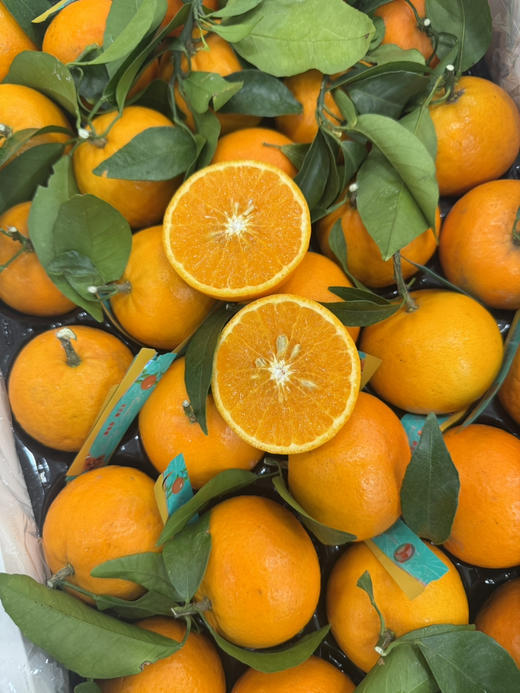 珍珠柑（散称7.8/斤 称重补差） 商品图1