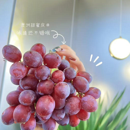 【澳洲无籽红提】脆甜爽口，鲜嫩多汁，世界四大水果之首 商品图3