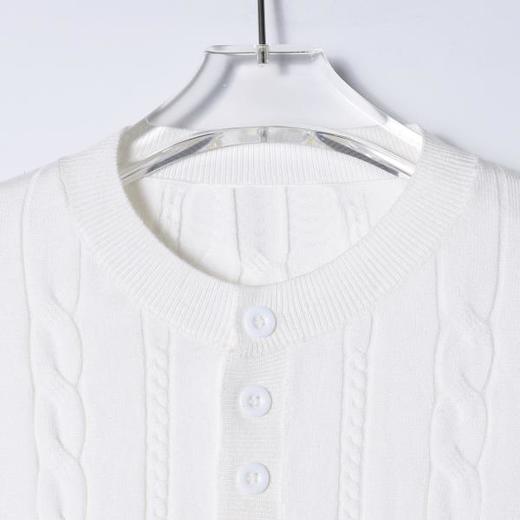 SDSA男装2026新款高贵轻奢老钱风纯色竖纹半纽扣设计短袖T恤百搭 商品图1